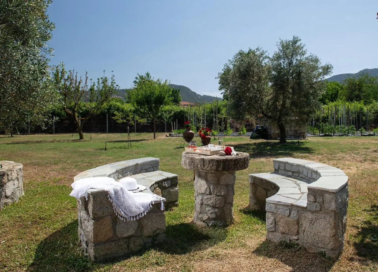 Villa Tsitreli Sykia Chalkidikis
