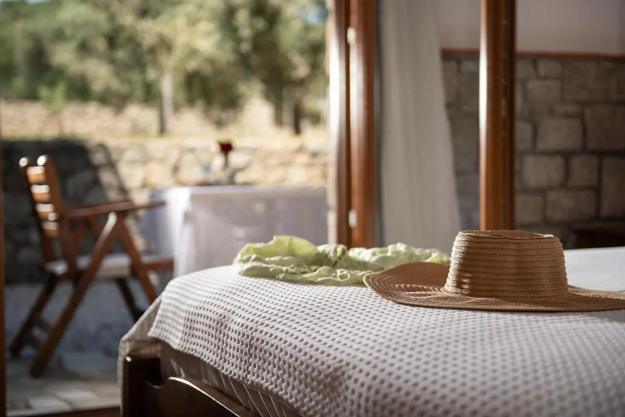 Villa Tsitreli Sykia Chalkidikis