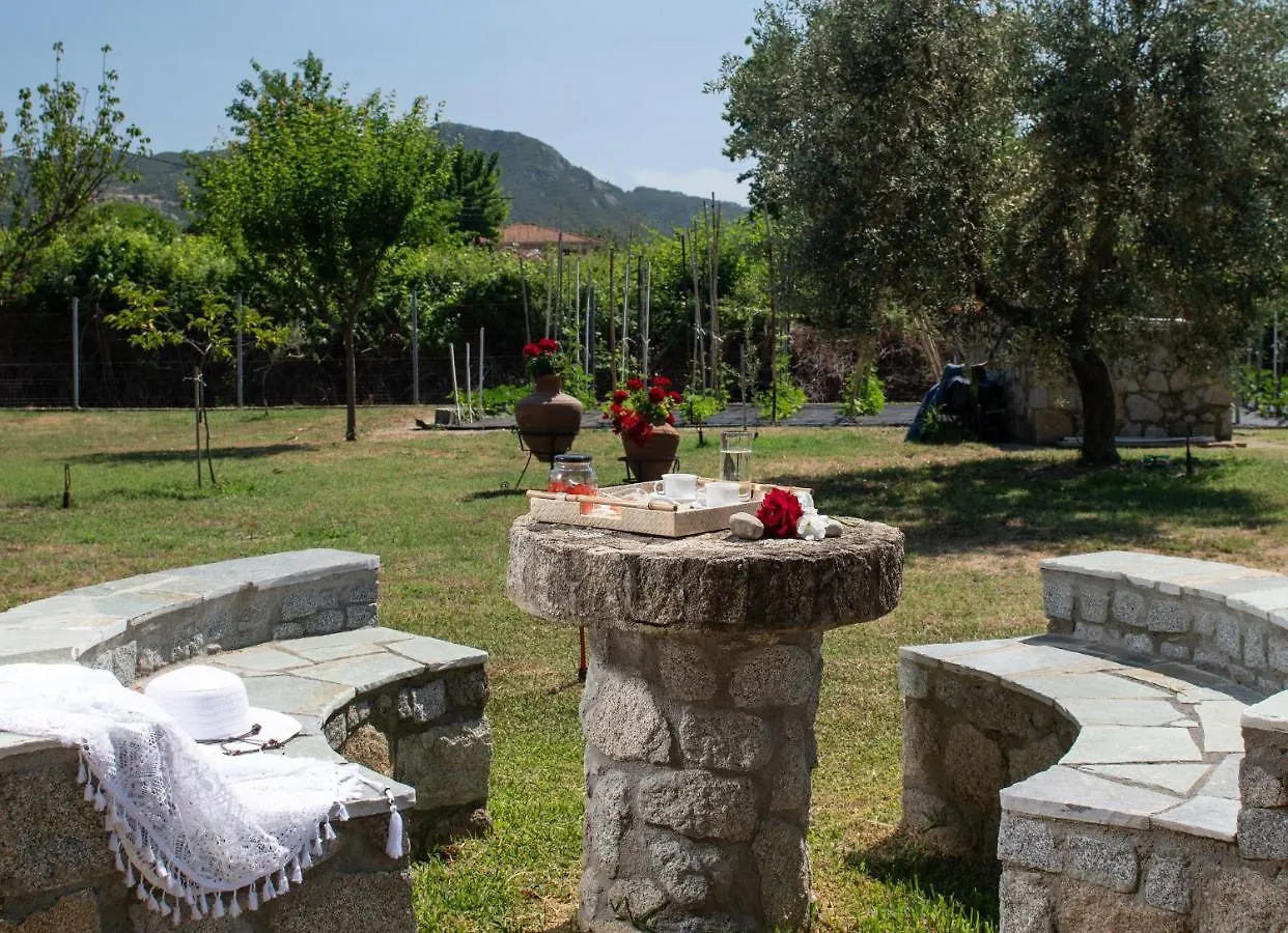 Villa Tsitreli Sykia Chalkidikis