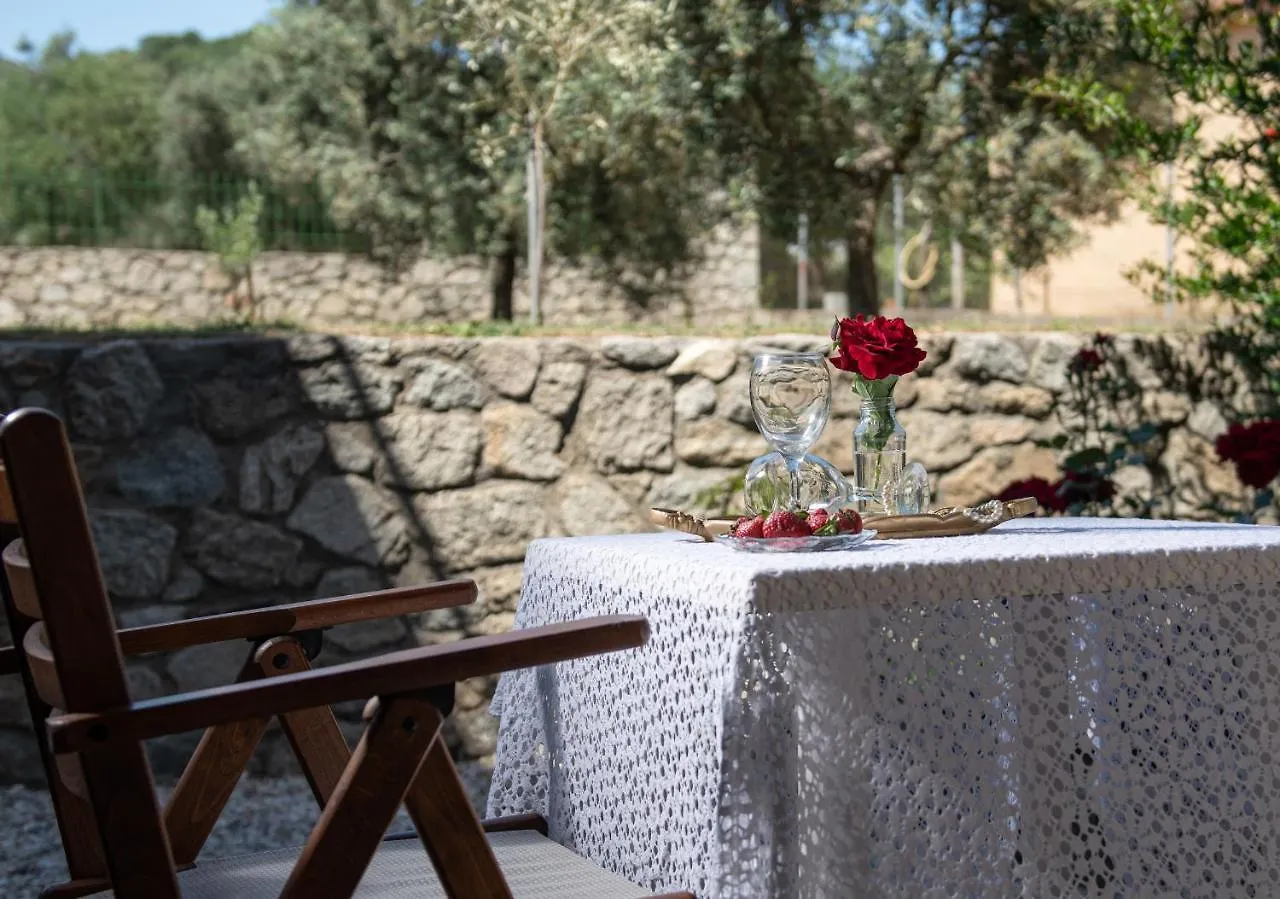 Villa Tsitreli Sykia Chalkidikis Appartamento