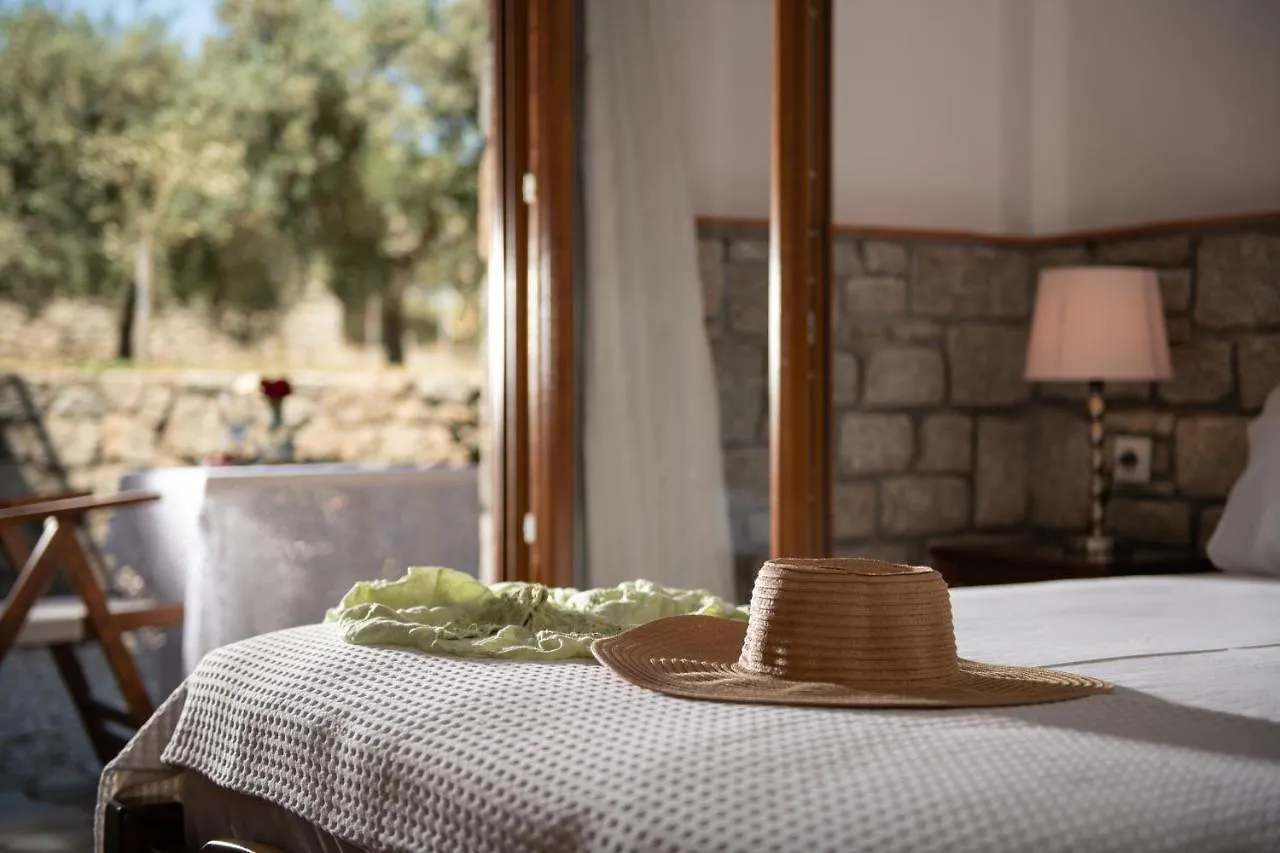 Villa Tsitreli Sykia Chalkidikis